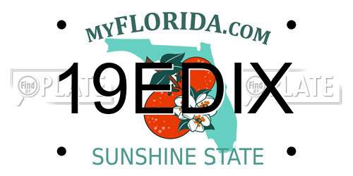 19EDIX Florida License Plate