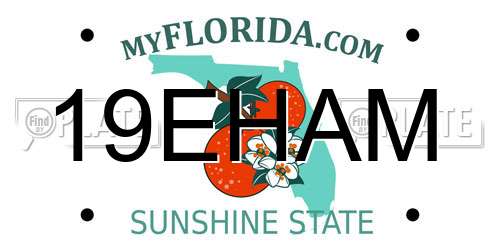 19EHAM Florida License Plate