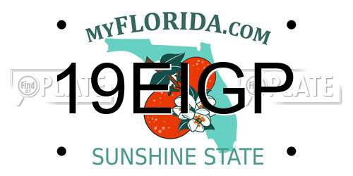 19EIGP Florida License Plate