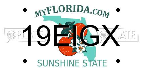 19EIGX Florida License Plate
