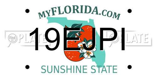 19EJPI Florida License Plate