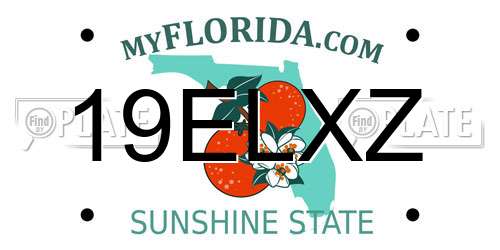 19ELXZ Florida License Plate