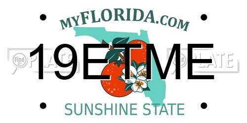 19ETME Florida License Plate