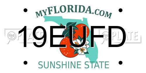 19EUFD Florida License Plate