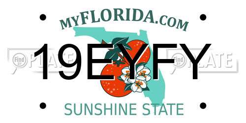 19EYFY Florida License Plate