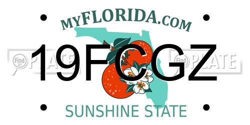 19FCGZ Florida License Plate