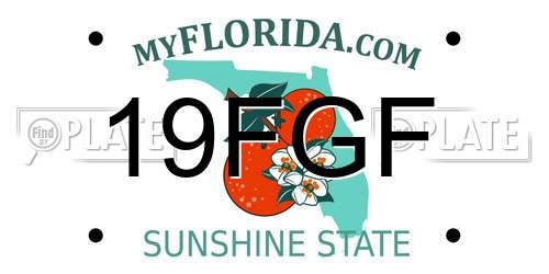 19FGF Florida License Plate