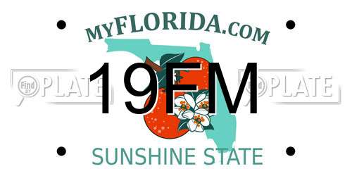 19FM Florida License Plate