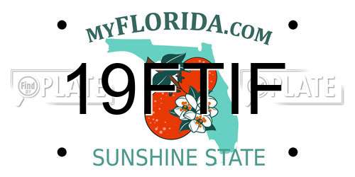 19FTIF Florida License Plate
