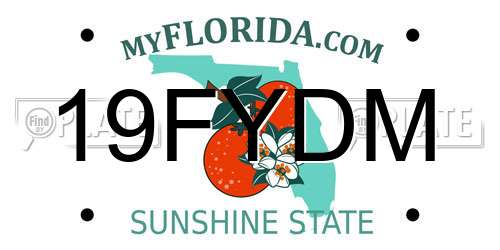 19FYDM Florida License Plate