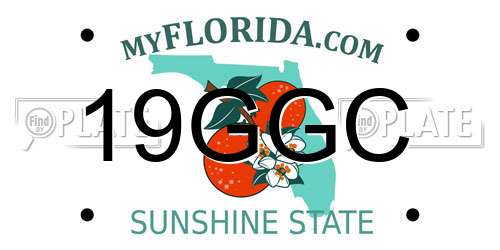 19GGC Florida License Plate