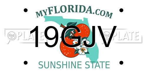 19GJV Florida License Plate