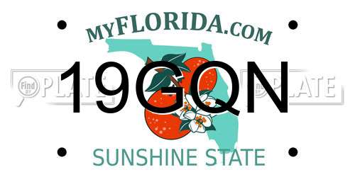 19GQN Florida License Plate