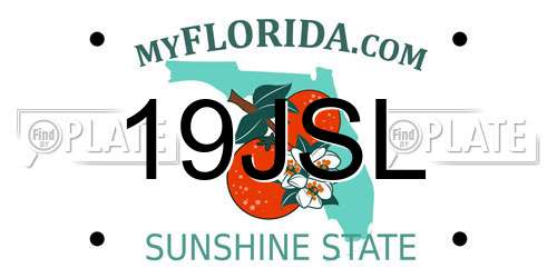 19JSL Florida License Plate
