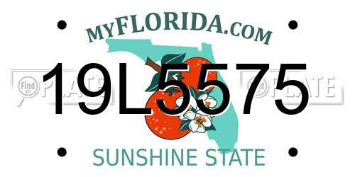 19L5575 Florida License Plate