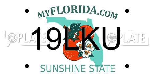 19LKU Florida License Plate