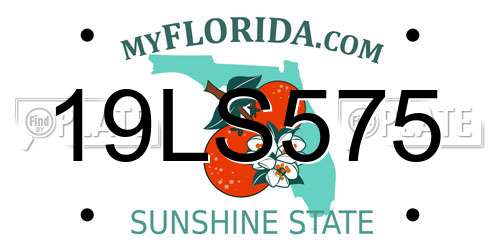 19LS575 Florida License Plate