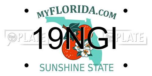 19NGI Florida License Plate