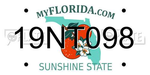19NT098 Florida License Plate