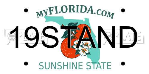 19STAND Florida License Plate