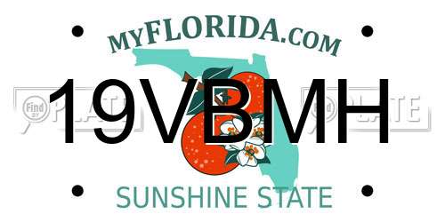 19VBMH Florida License Plate