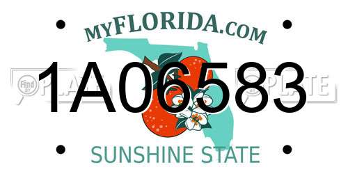 1A06583 Florida License Plate