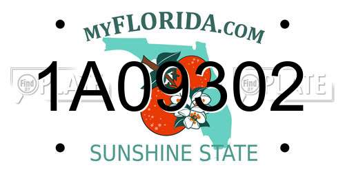 1A09302 Florida License Plate