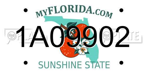 1A09902 Florida License Plate