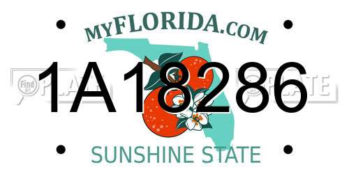 1A18286 Florida License Plate