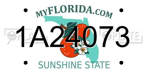 1A24073 Florida License Plate