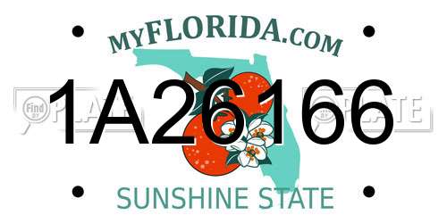 1A26166 Florida License Plate