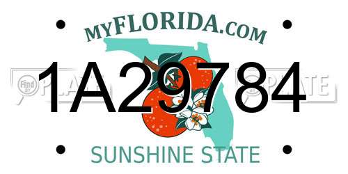 1A29784 Florida License Plate