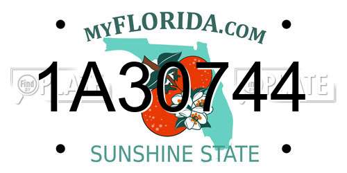 1A30744 Florida License Plate
