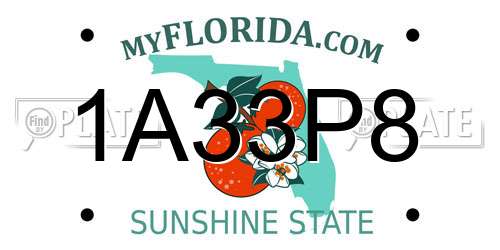 1A33P8 Florida License Plate