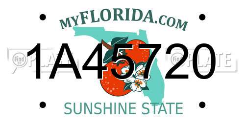 1A45720 Florida License Plate