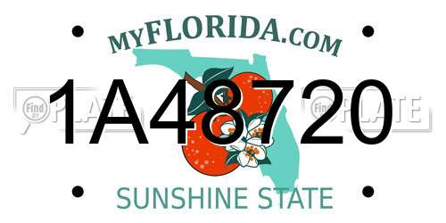 1A48720 Florida License Plate