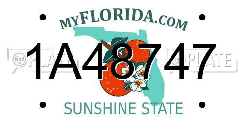 1A48747 Florida License Plate