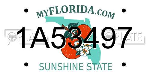 1A53497 Florida License Plate