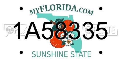 1A58335 Florida License Plate