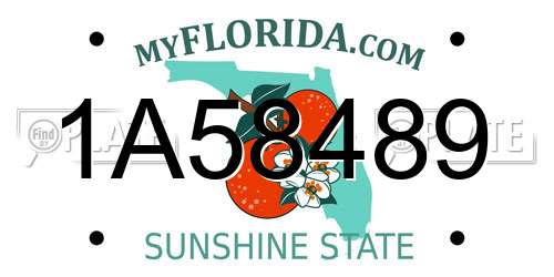 1A58489 Florida License Plate
