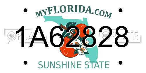 1A62828 Florida License Plate