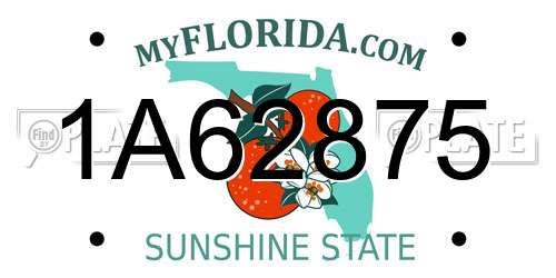 1A62875 Florida License Plate