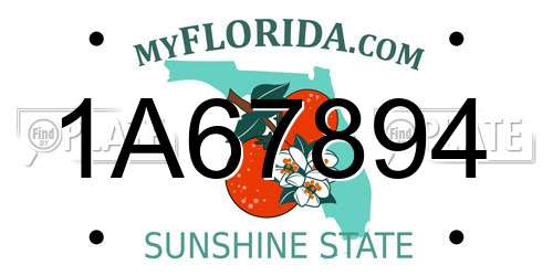 1A67894 Florida License Plate