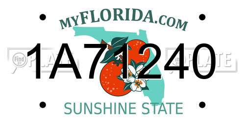 1A71240 Florida License Plate