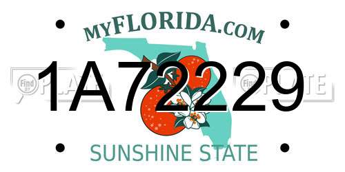 1A72229 Florida License Plate