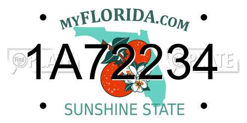 1A72234 Florida License Plate