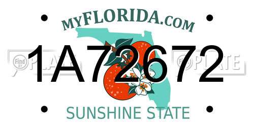 1A72672 Florida License Plate