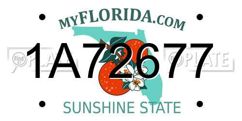 1A72677 Florida License Plate