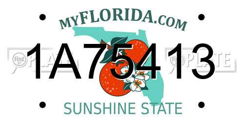 1A75413 Florida License Plate