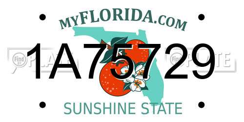 1A75729 Florida License Plate